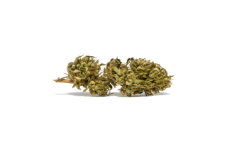 Eboshi CBG 15,69%